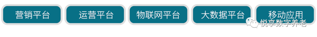 悅享數字 | 數字驅動健康 智慧賦能養老(圖3)